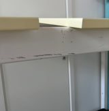 Snow white Medusa Husseng med sunny yellow tag (90x160)